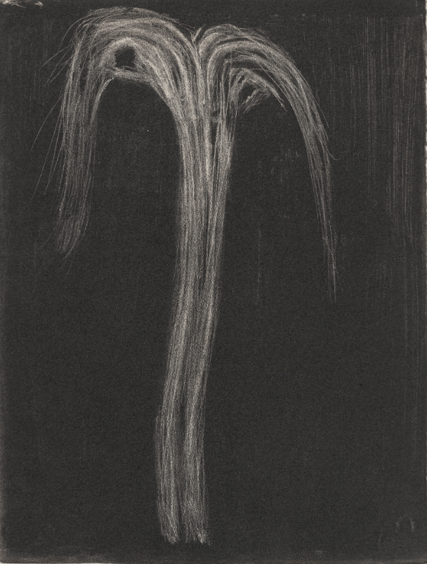 Plate from _Meidosems_ (1948) p.17.